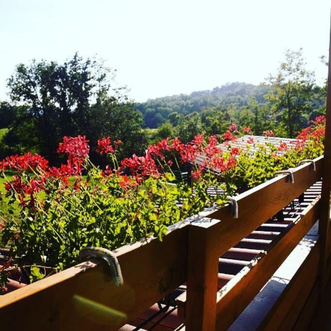 Ca' Del Cuco Bed and Breakfast Barzana Εξωτερικό φωτογραφία